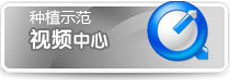視頻中心